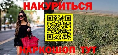 трава Брянск